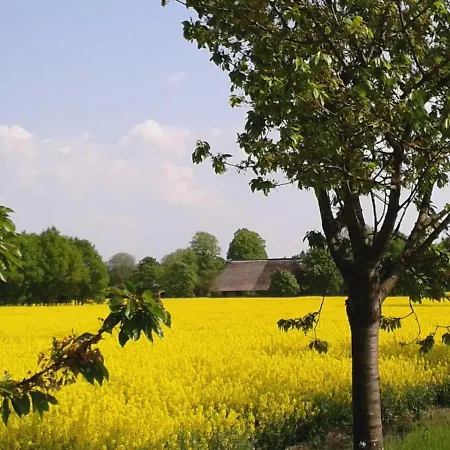 Strandvilla Niendorf (Timmendorfer Strand)