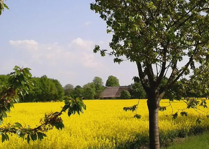 Strandvilla Niendorf (Timmendorfer Strand)